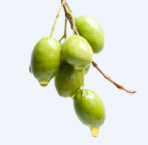 olive-oil-1.jpg